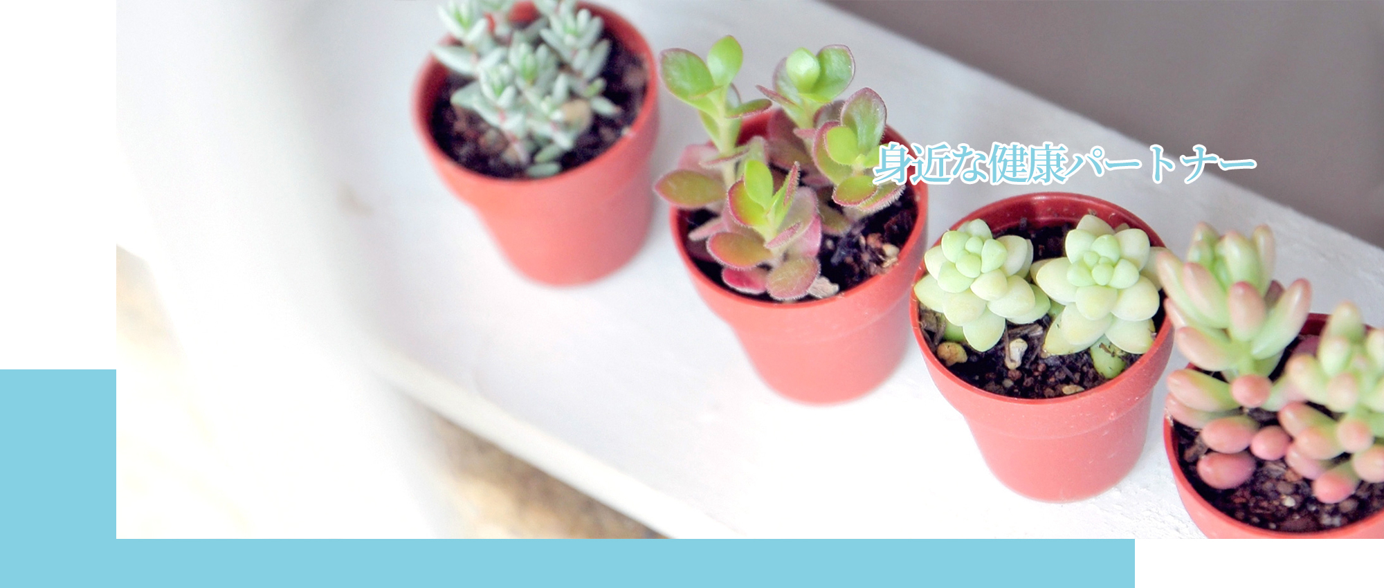 宮古市西町、西町三丁目停留所、整形外科、内科、リウマチ科